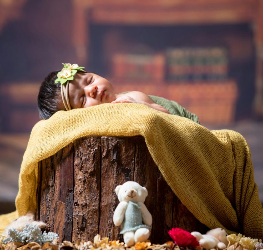 A serene newborn baby sleeps on a log surrounded by toys and soft fabrics in a cozy indoor setting.
